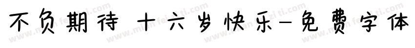 不负期待 十六岁快乐字体转换